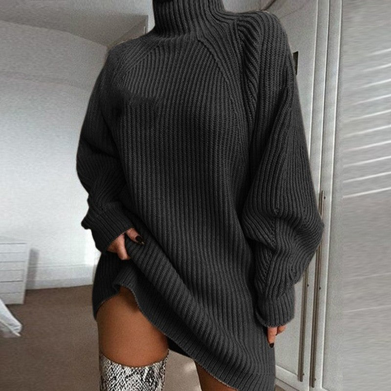 Elandra Turtleneck Sweater Dress